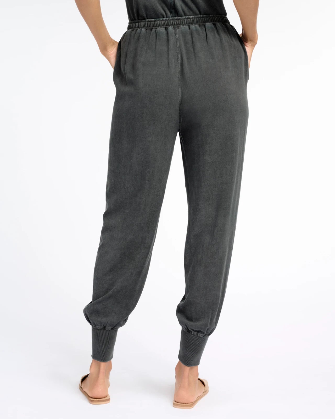 Splendid Zinnia Jogger-Lead